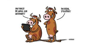 les deux vaches